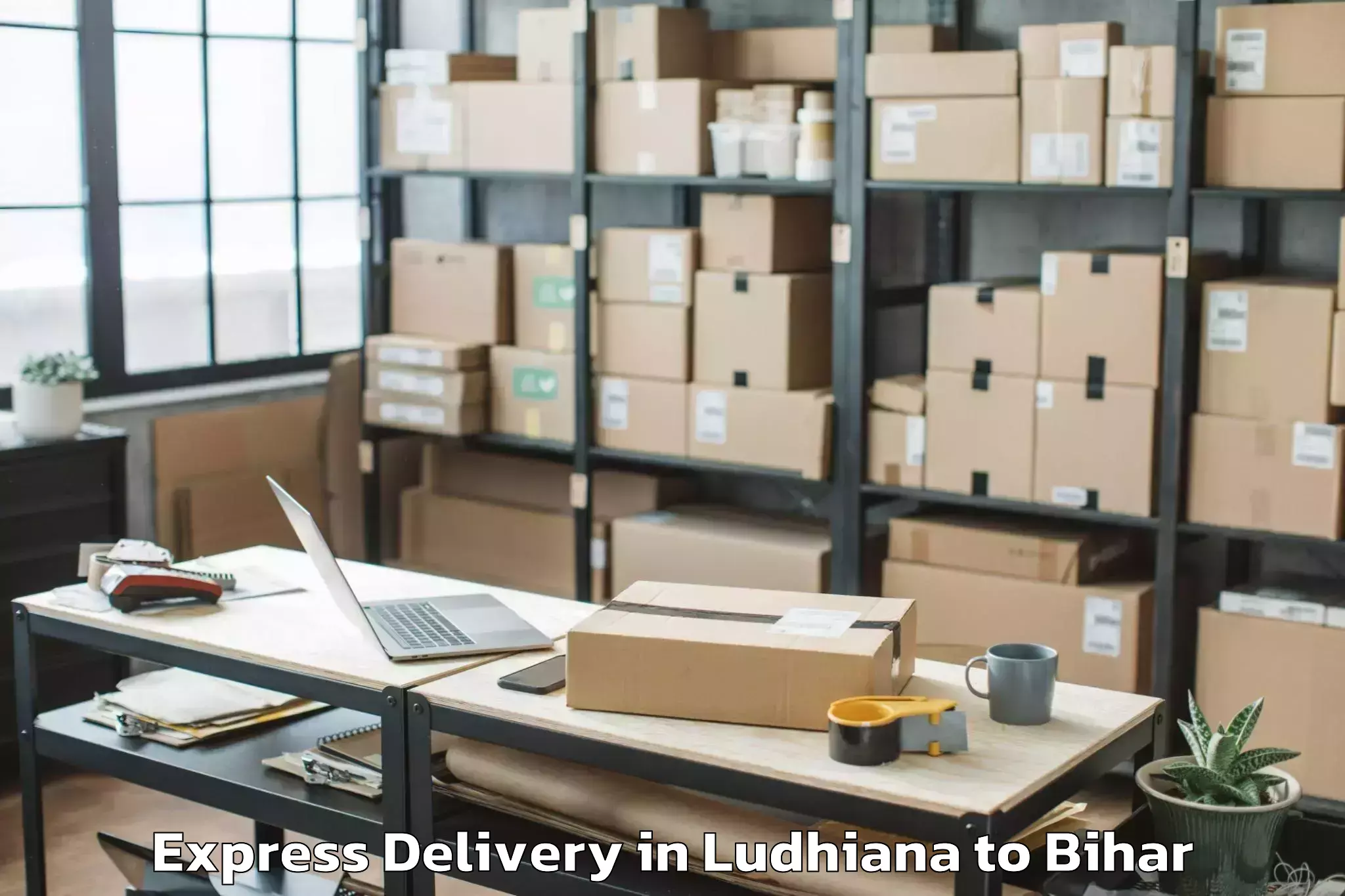 Professional Ludhiana to Majhaulia Express Delivery